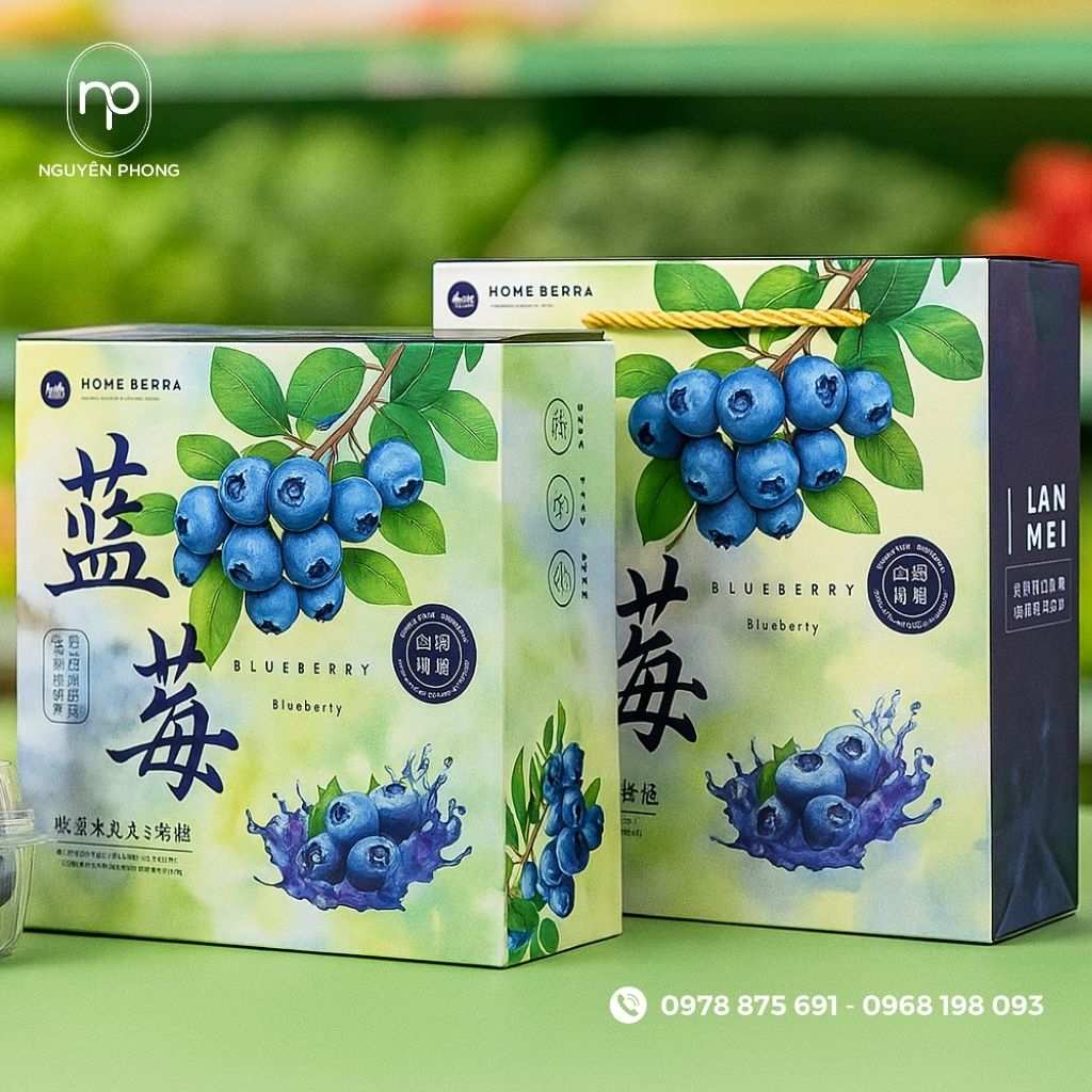 Mẫu 5